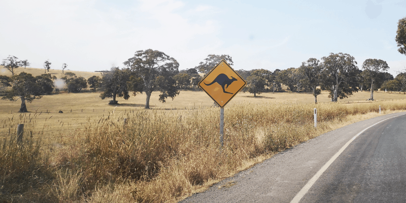 Karens Adventures In Colour For December 2019 Adelaide Kangaroo Sign Karen Haller