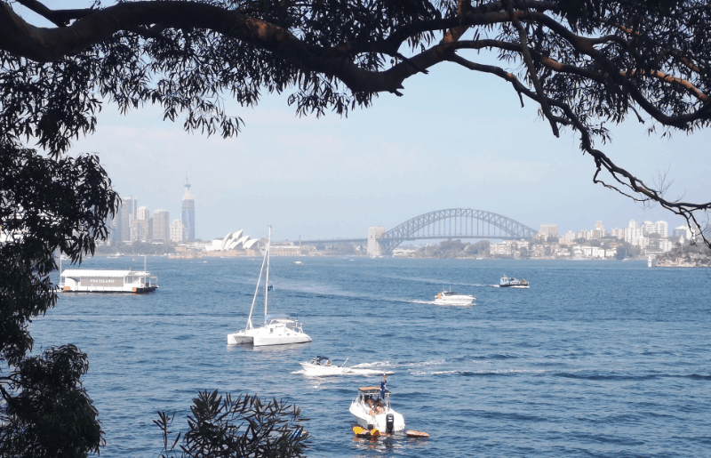 Karens Adventures In Colour For January 2020 Sydney Harbour Bridge Karen Haller