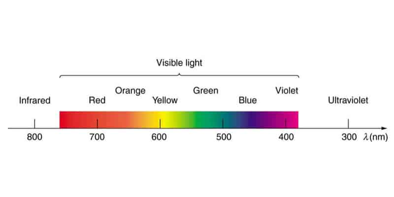 5 Fun Facts About The Colour Green Light Spectrum Karen Haller
