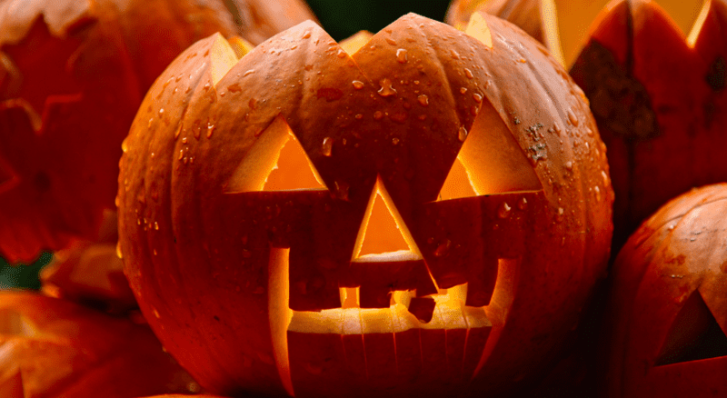 5 Fun Facts About The Colour Orange Halloween Pumpkin Karen Haller