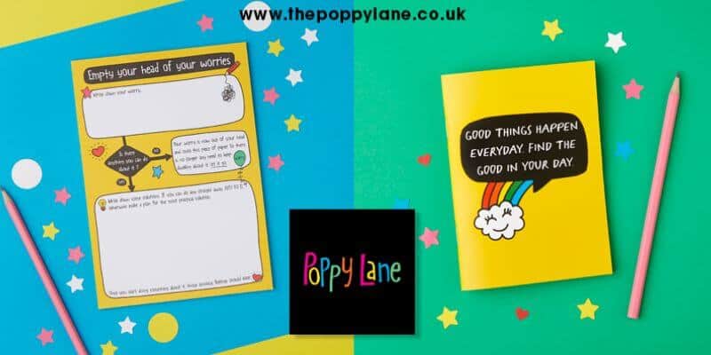 christmas gift list 2022 poppy lane the little book of colour