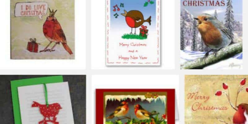 why red robins are associated with christmas cards the little book of colour