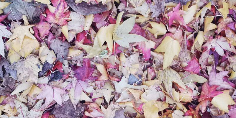 5 reasons to fall in love with autumn 6