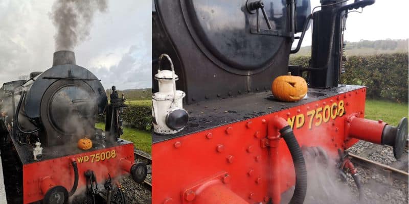 the origins of orange for halloween pumpkin stream train